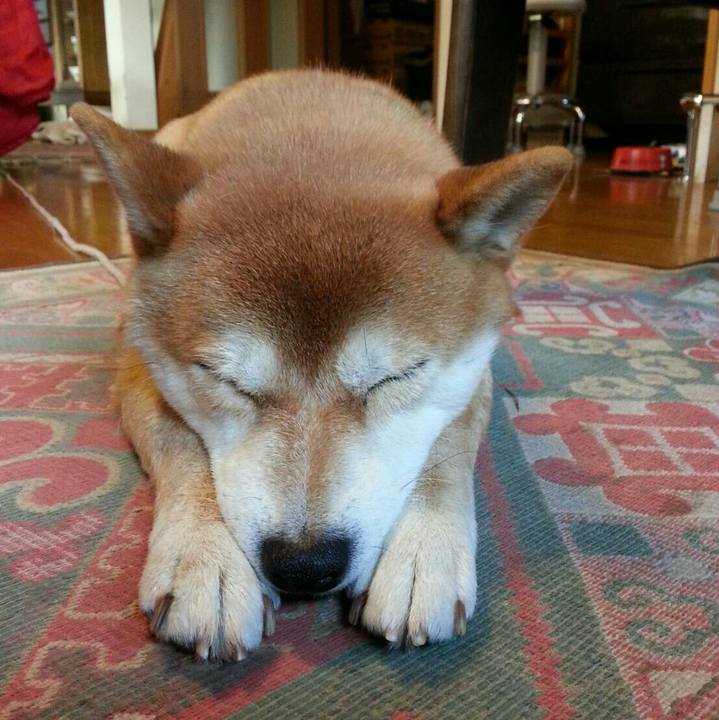 Dda79bec 8483 4277 af00 1cc7d17773d1