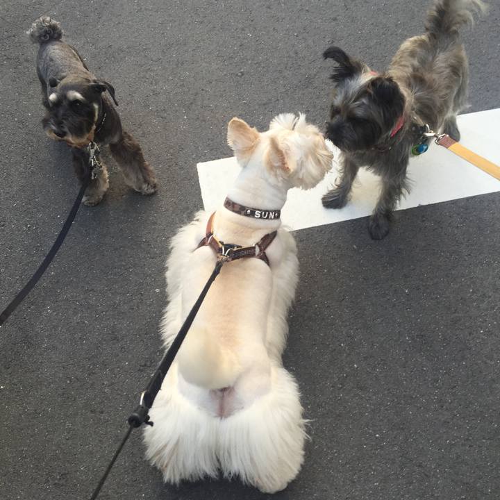 Dda80572 4c7a 4a28 8357 b17b5265949d