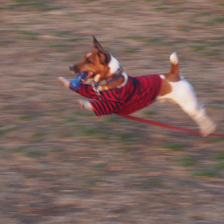 Dda82eaf 7c22 4718 b355 62cebe47d445