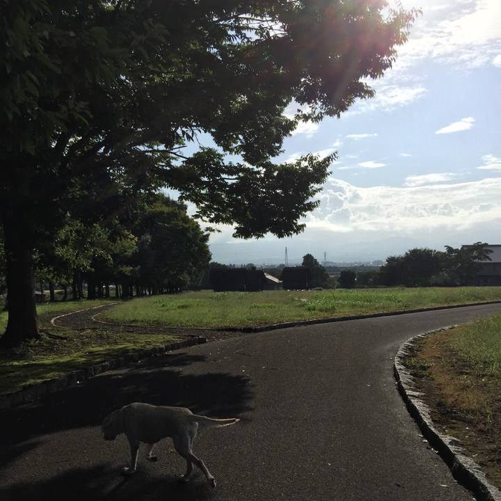 Dda882a3 28ca 4063 bec3 3d23c1c00a33