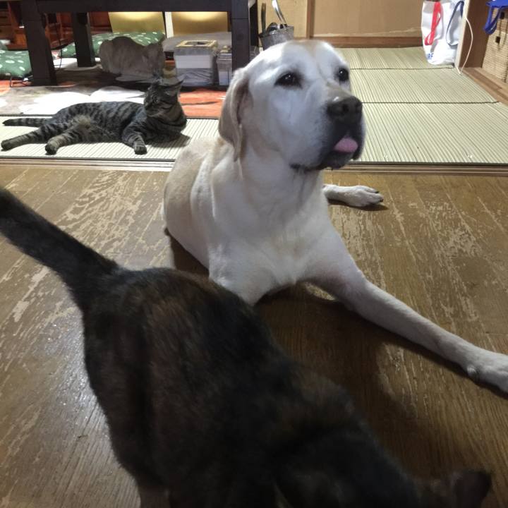 Dda8fe4d 75c9 443a bece 815ad0201a94