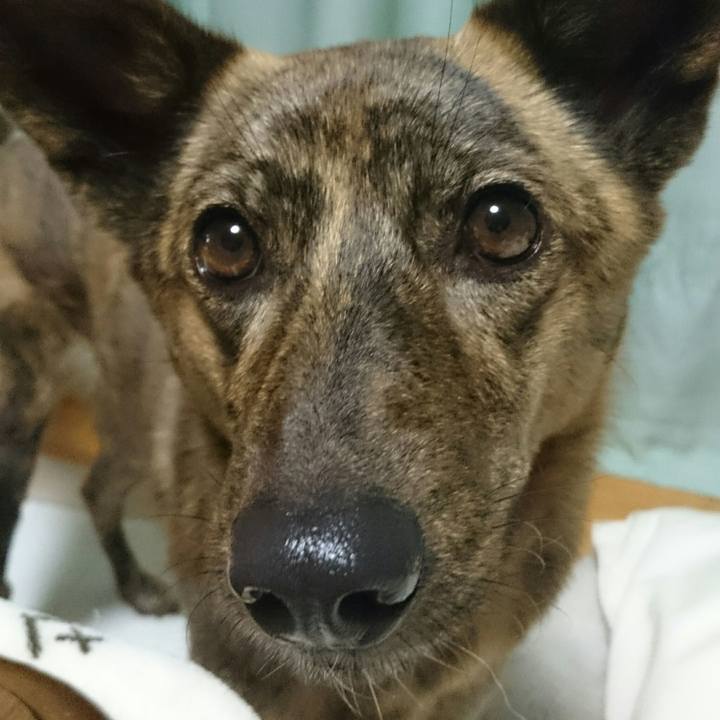 Dda9c511 d1d2 463b ac42 ac4acebab832