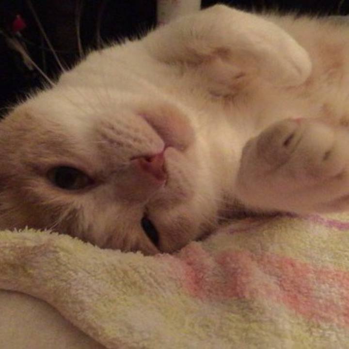 Dda9e799 6c7a 46fe 9e94 fd70ab40dd3a