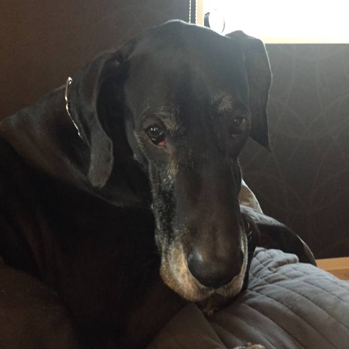 Ddaa14c6 3226 43ac ba39 4be2d58569ca