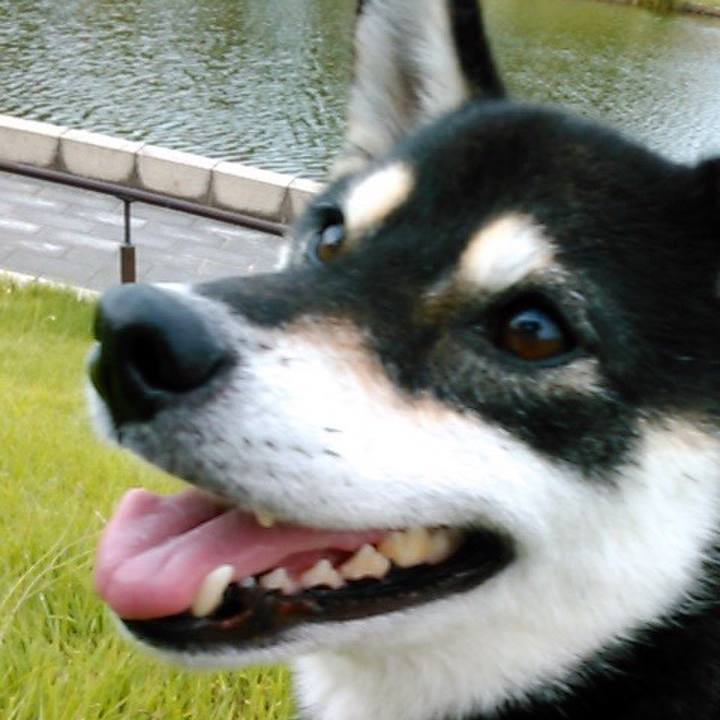 Ddaa615c e8c4 4c80 8cec 1f0753146bba