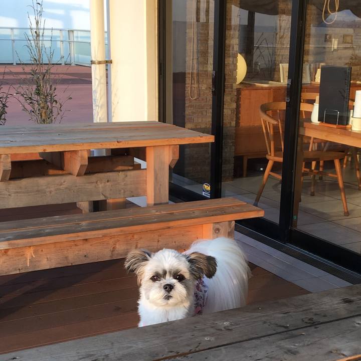 Ddaae099 95c0 4e4b 9553 e1a332de6d67