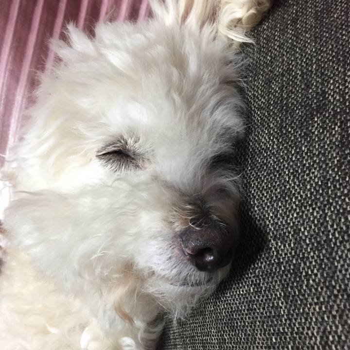 Ddaafebd 2b6d 4d95 a938 76e55b42dc2a