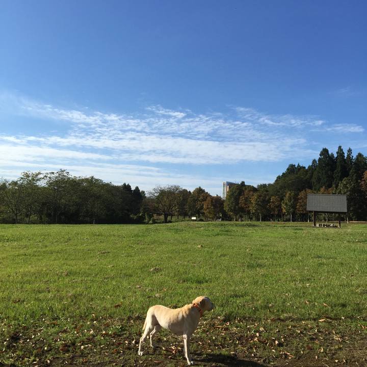 Ddab4e11 ad83 474b 9a5f dfdb43d4c5fd