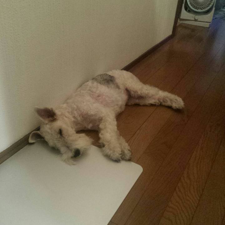 Ddac2c0d 9658 4634 8b54 3cc43c1824fe