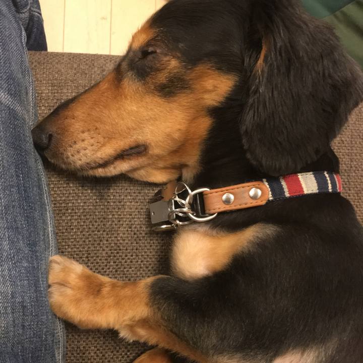 Ddac473d 21d4 403e bea7 0cc1b8b721e9