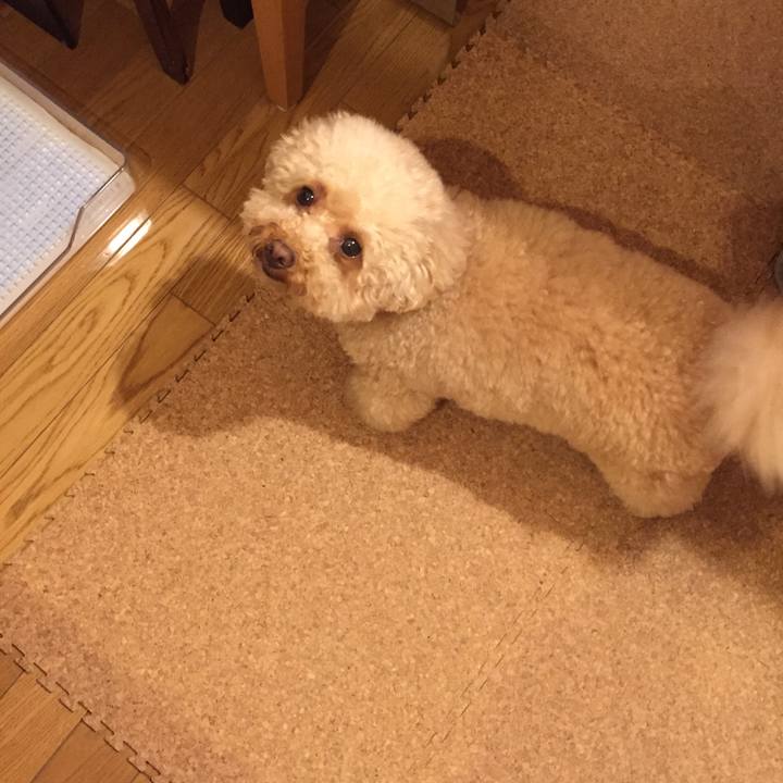 Ddac6cd7 dde6 4fb0 a681 48e9edbd37e3