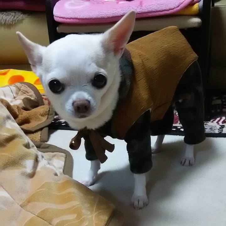 Ddacce69 0d48 44b3 9239 fc61e83390b8