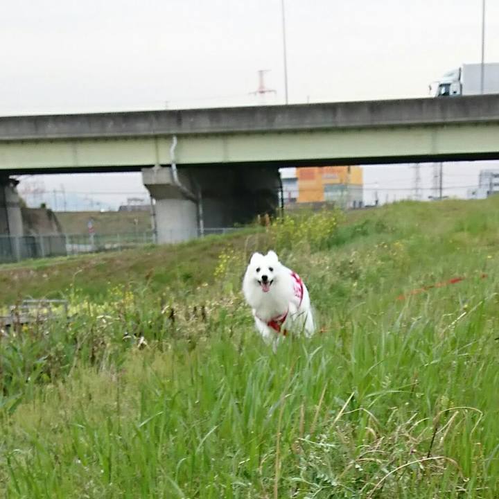 Ddad172d da33 42f3 960e f75b539a2f63