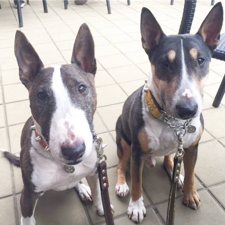 Ddadf7cc 7424 41ae 9662 d02bd30f9d56