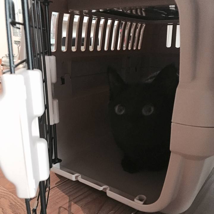 Ddae1a96 f9e6 4922 87ea 6b56d12ef15e