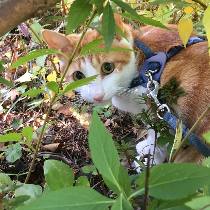 Ddaf5b77 d5e1 47a6 ab73 088f77fc5745