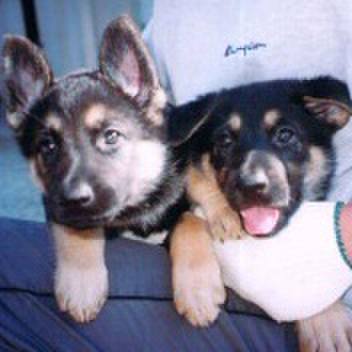 Ddaf82e4 540b 473c b1e0 0bfad5c92464