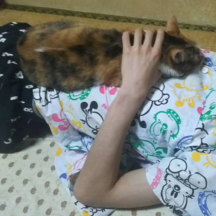 Ddaf8956 d233 4bf5 844a 88d7a59c93ce