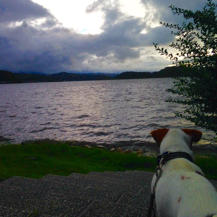 Ddafa184 a7df 430f 91ee 1543ac8fb729