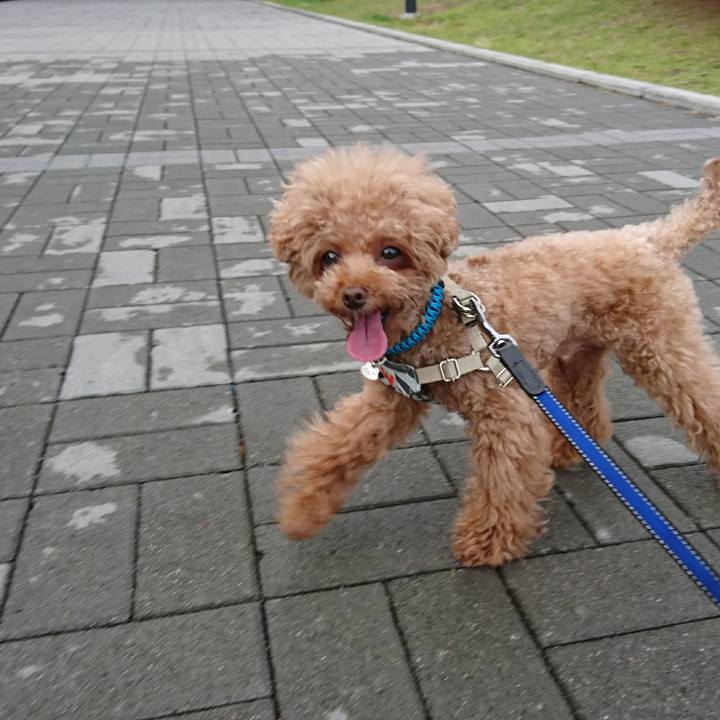 Ddafa99f 57fb 4b7c aa17 c1511e0370e5