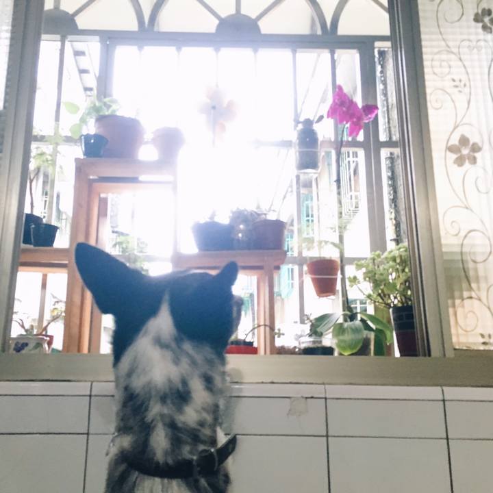 Ddafdd0f 9744 467d a8ab df6a1787117b