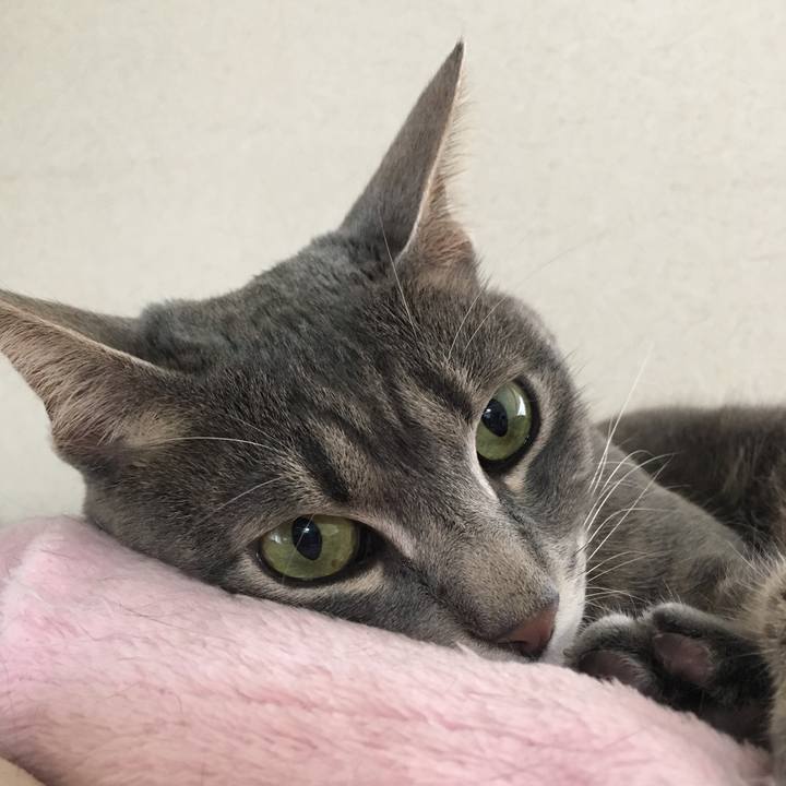 Ddafe8d3 5e8c 4027 b286 3b666c5d1dcc