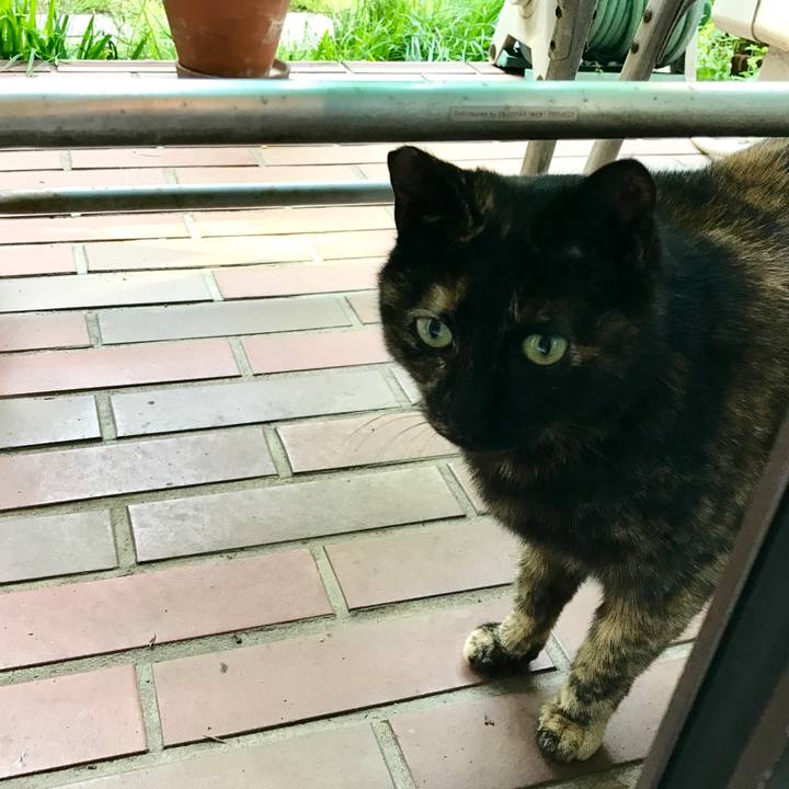 Ddb0b070 aa70 4f0a a013 7bf831ef8d49