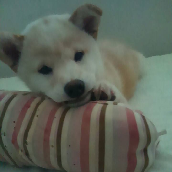 Ddb10a63 d461 4972 8f11 b354fb967dfa