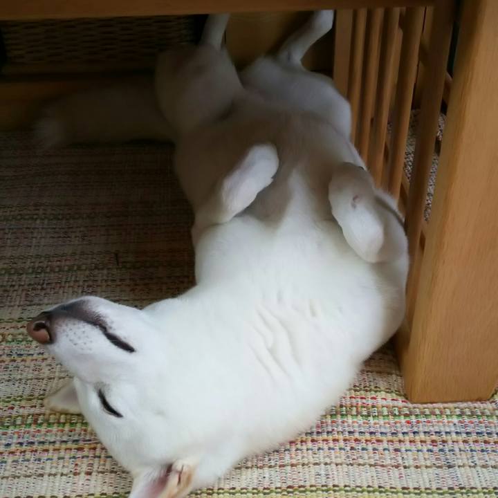 Ddb1199d b8e2 4a59 9ff3 dd3ccac22abc