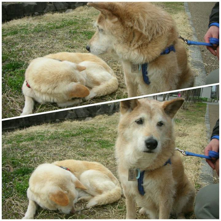 Ddb1617b ab9e 4f07 9a17 94a0252d9624