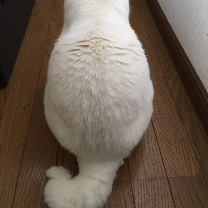 Ddb22220 12c1 443b 8575 430d23a2fc79