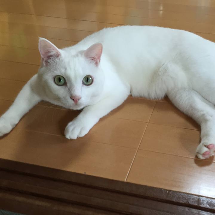 Ddb27dd3 c13d 44e7 9c2b aec3876783b6