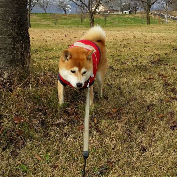 Ddb28830 5af8 4c8d a594 39882f40d682