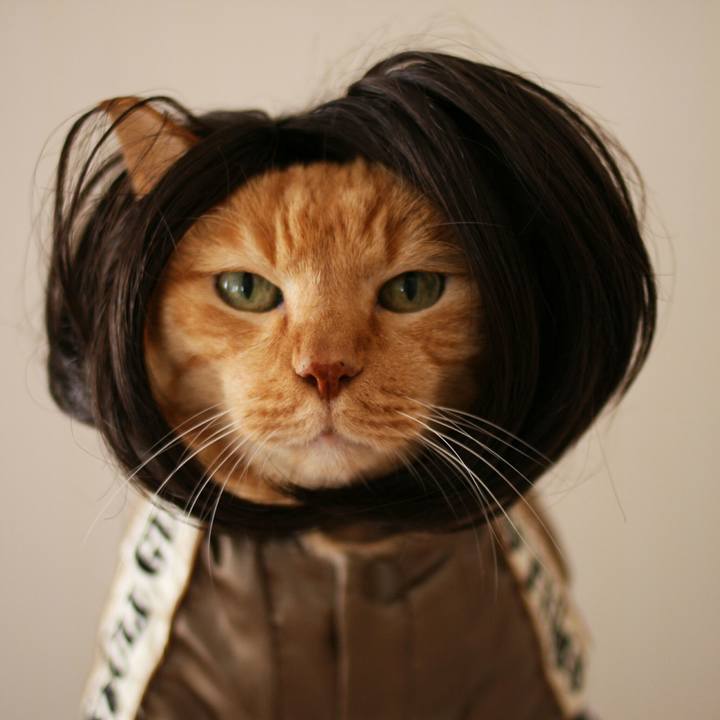 Ddb2ebdf 6df2 4243 b0e2 d7d7cceec331