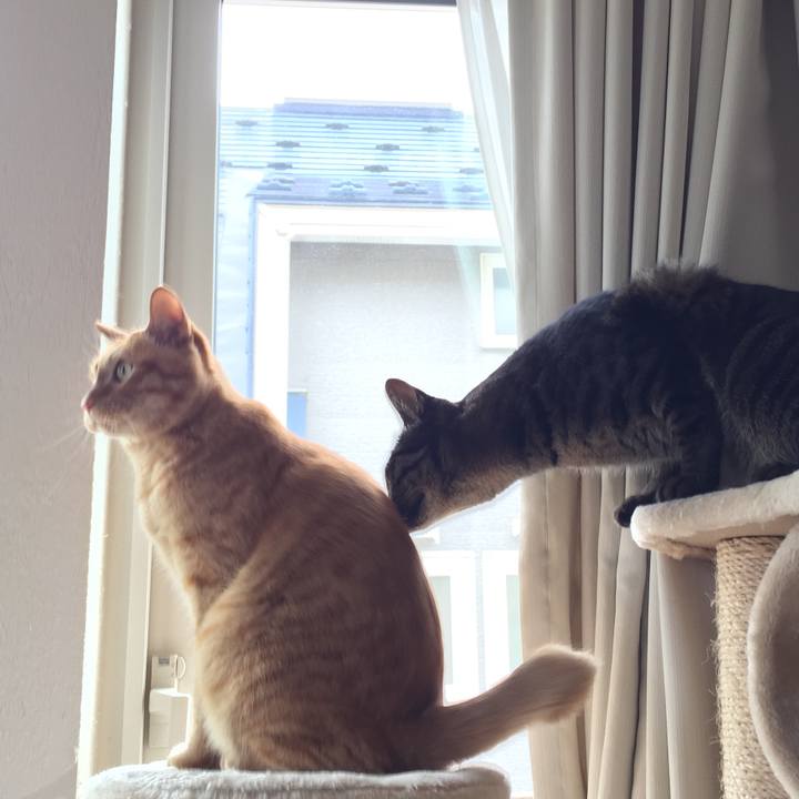 Ddb34606 d031 4d6e bc54 4eef78d360c2