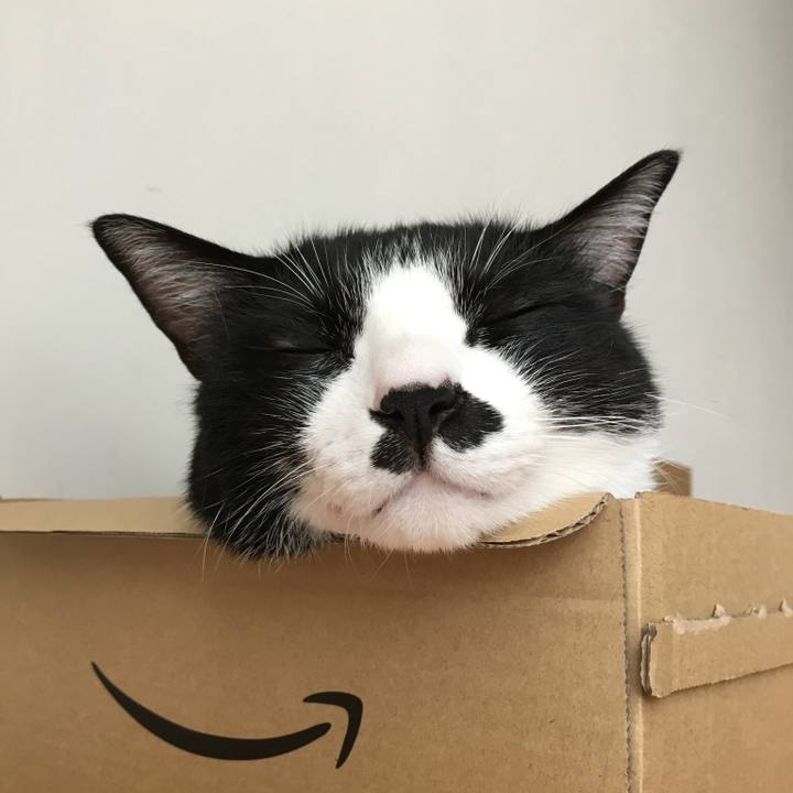 Ddb38014 e676 4d50 9b8d 4c2f7906d5fc