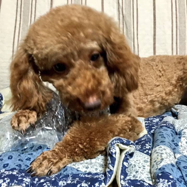 Ddb3b218 fe1d 4486 b601 c84bdd7082cd