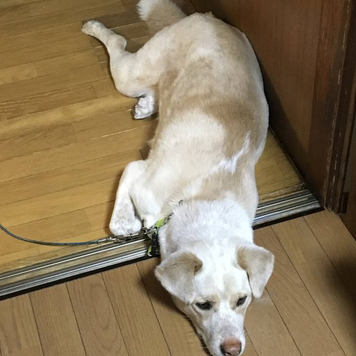 Ddb3df75 c03c 4313 b8fc caa3a0b6d294