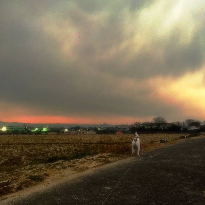 Ddb3ea66 a4b3 4285 87c9 340e76db7f4e