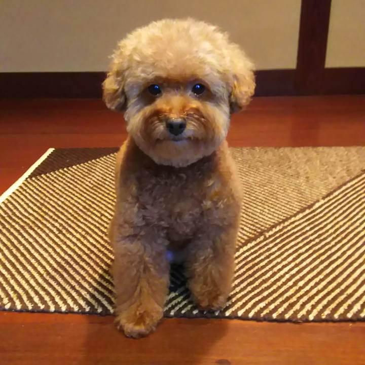 Ddb562a7 8dd5 406f a1d6 e374994dfa85