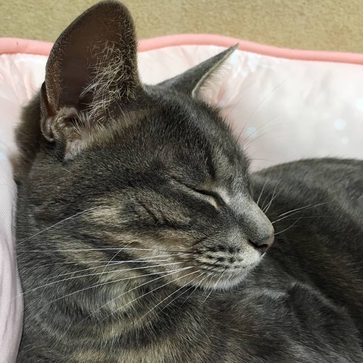 Ddb58748 e8d7 4e36 bc81 21ab85a38571