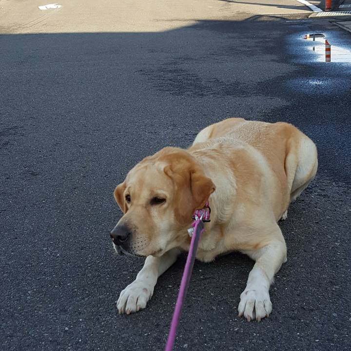 Ddb613fd cedb 4016 ab44 8868b74f00a0