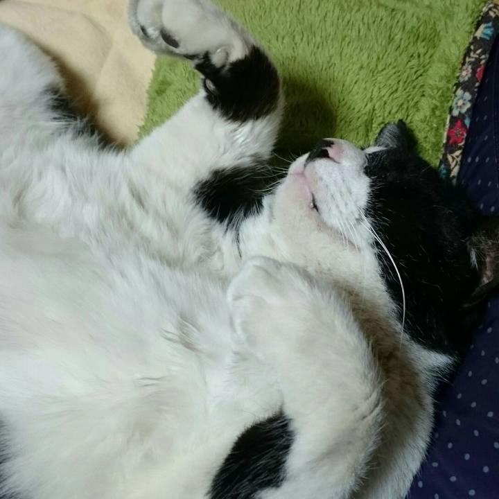 Ddb65eaf 2337 4b02 abc1 89f674827532