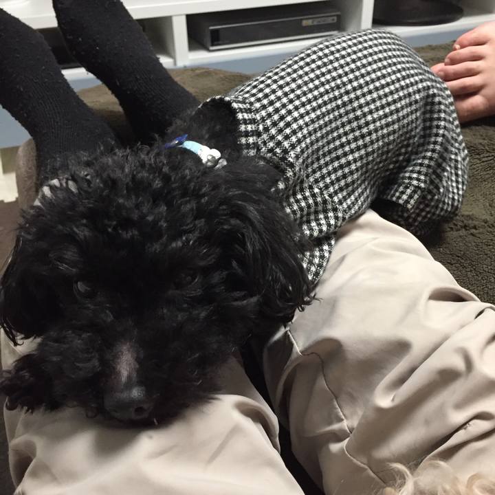 Ddb668ad ca8e 47b1 a609 b2af59dfad81