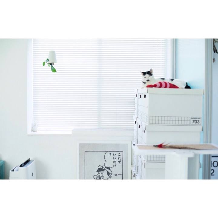 Ddb70004 2df1 4c4a 86ea e2ce37f1a3cd