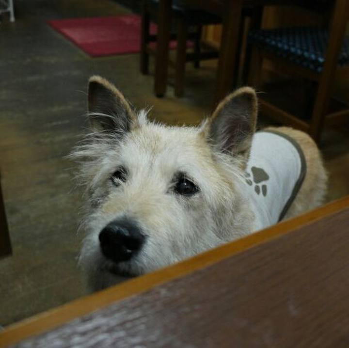 Ddb7296e fbc4 41fe 8141 0d9210e2045a