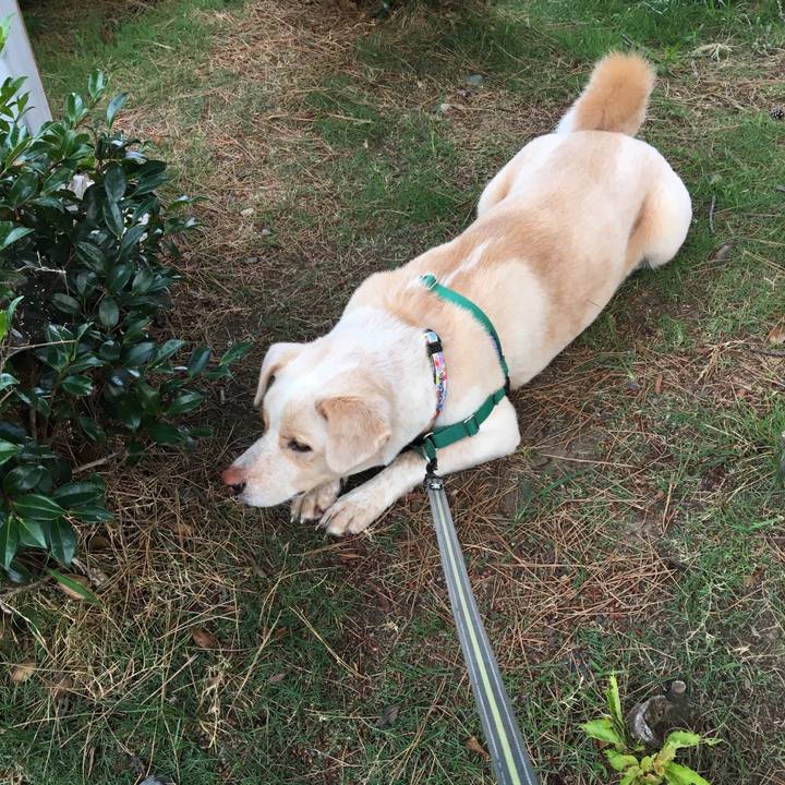 Ddb7842e 638e 462b 96fa a438152b3485