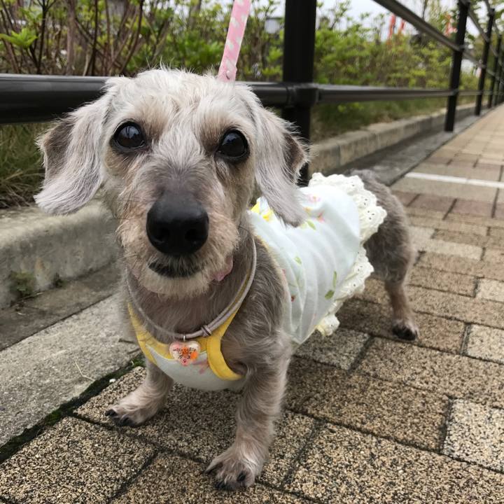 Ddb835c8 62b7 4fa0 b2bb b1722a811832