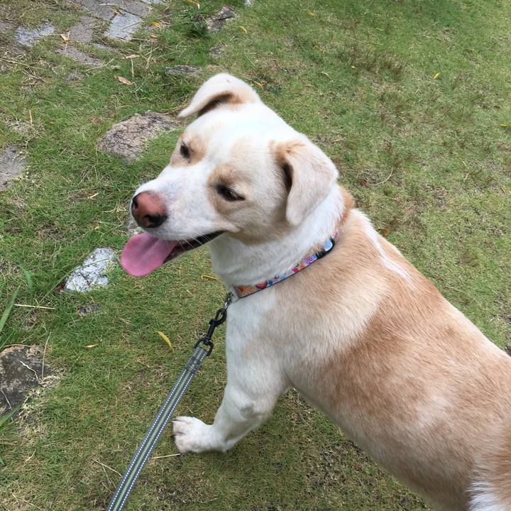 Ddb84306 494a 433f 8d6f 303e57f3e655