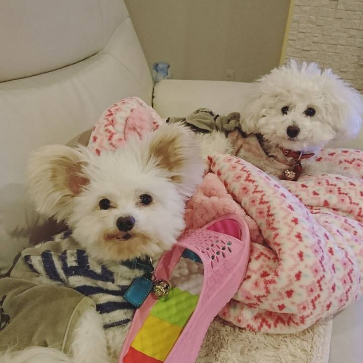 Ddb97705 5b9e 4244 a83a 8eb2fc74c14c